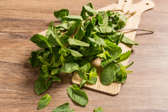 Menthe en botte