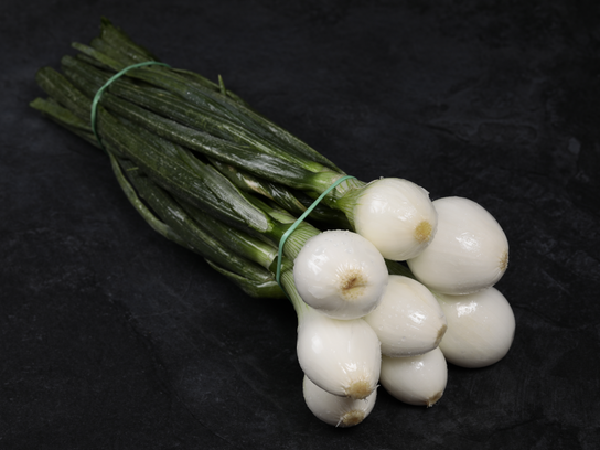 Oignons frais en botte