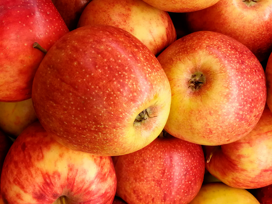 Pommes Elstar
