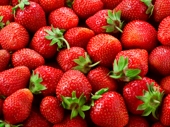 Fraises belge