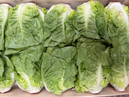 Cœur de Romaine verte