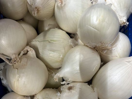 Oignons blancs