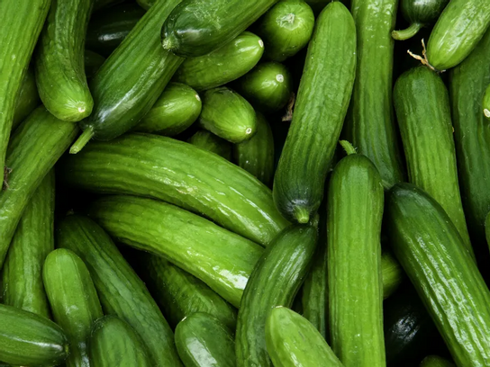 Concombre de jardin