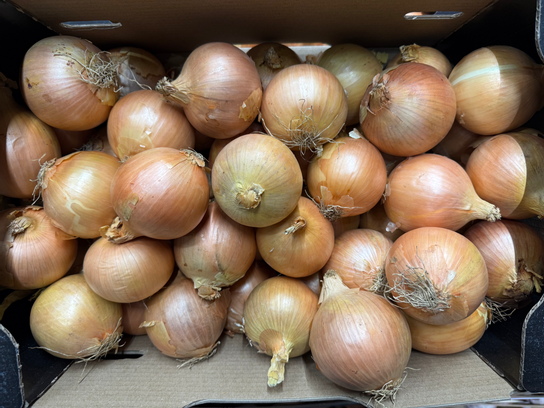 Oignons jaunes