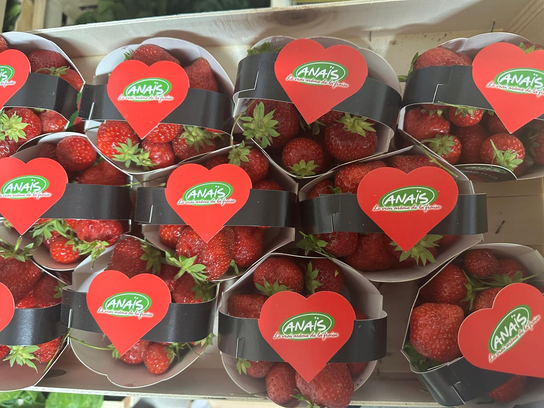 Fraises Anais