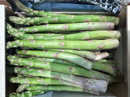 Asperges vertes extra
