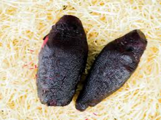 Betterave longue cuite bio