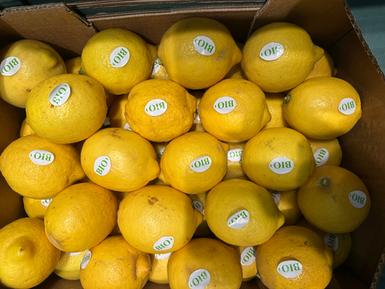 Citron jaune bio