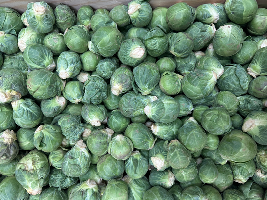 Choux de Bruxelles bio