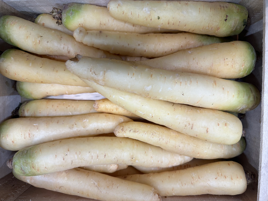 Carottes blanches