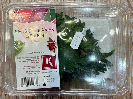 Perilla (SHISO LEAVES GREEN)