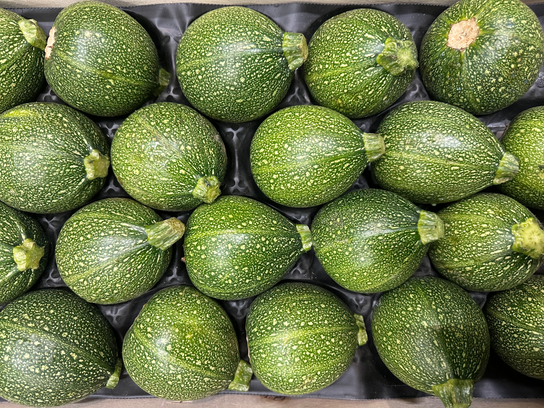 Courgette ronde