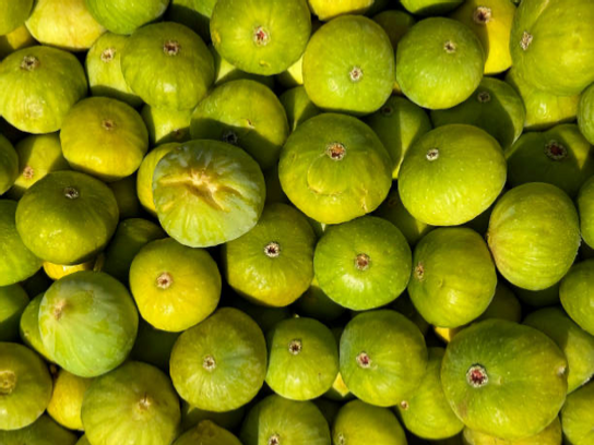 Figues vertes bio