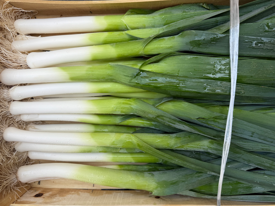 Poireaux