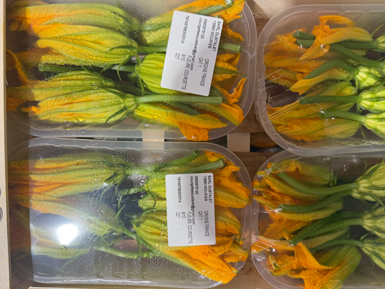 Fleur de courgette