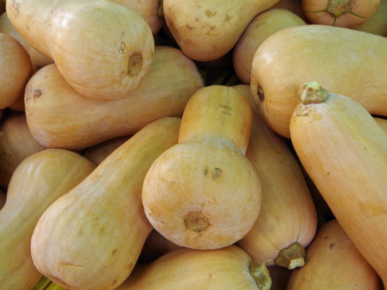 Butternut