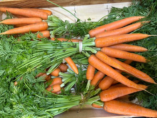 Carottes botte