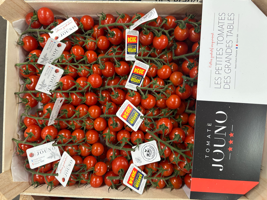 Tomates cerises jounot