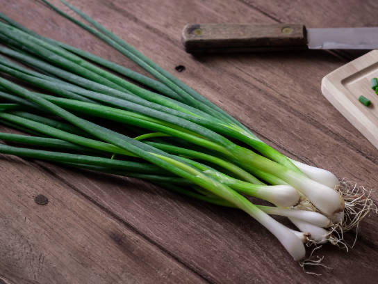 Oignons Cébette bio