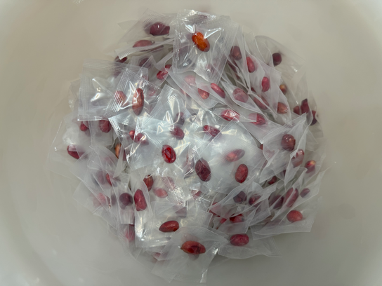 Sachet de 5 Baies du miracle