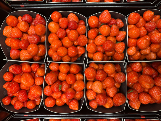 Fraises belge