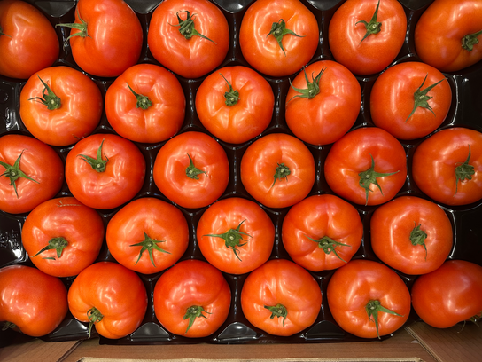 Tomates Marmande