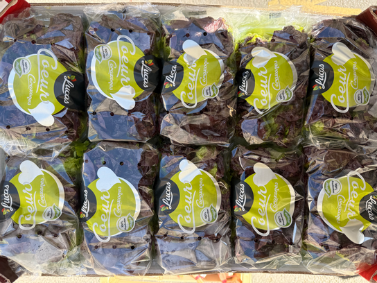 Sucrines rouges barquette