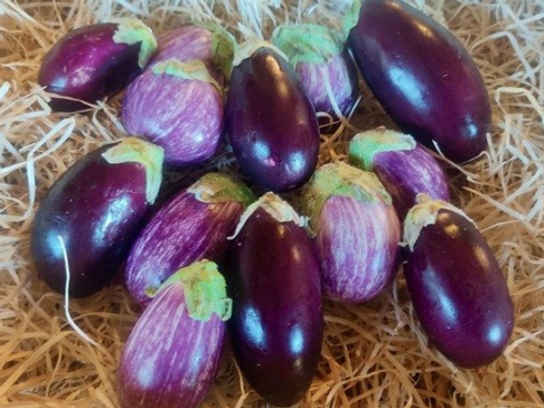 Mini aubergine