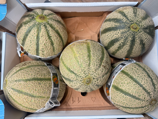 Melon EXTRA