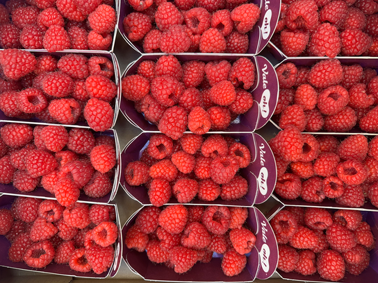 Framboises
