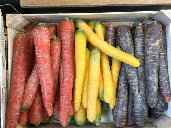 Carottes de couleur