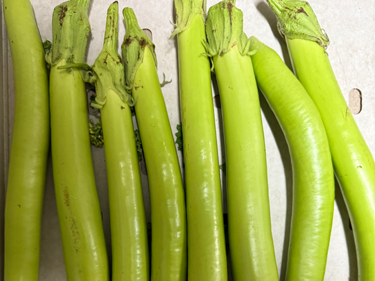 Aubergine Thaï