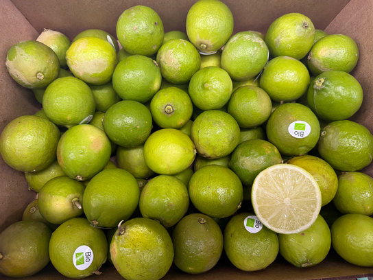 Citron vert bio