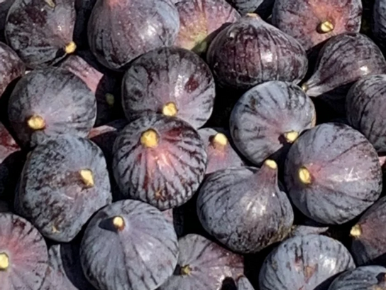 Figues noires extra