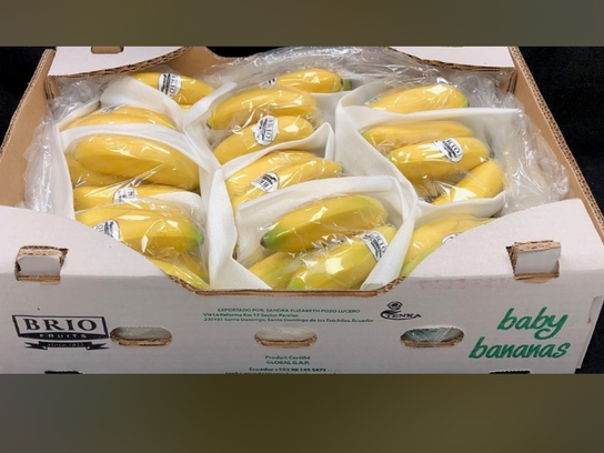 Bananes Frécinette bio