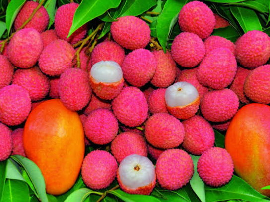 Litchis Branche Extra