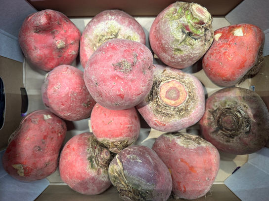 Betterave crue Chioggia