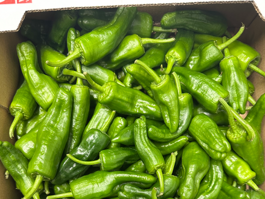 Piments padrons