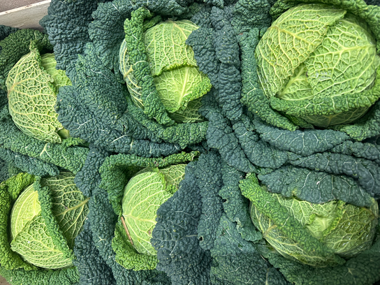 Chou vert