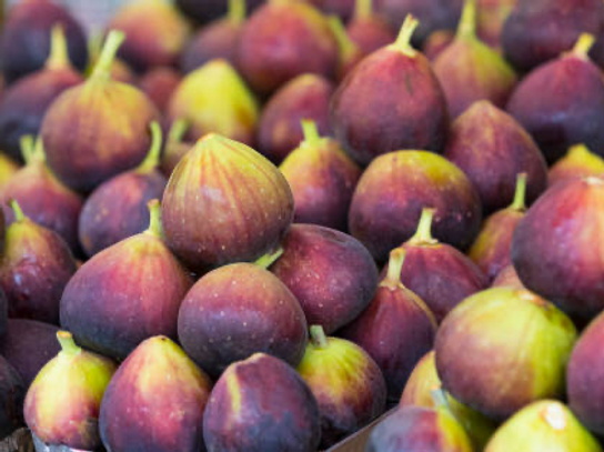 Figues violettes extra