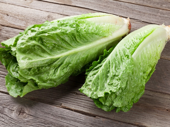 Romaine