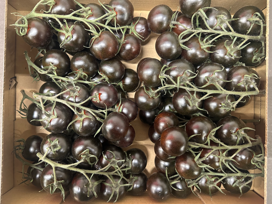 Tomates cerises noir