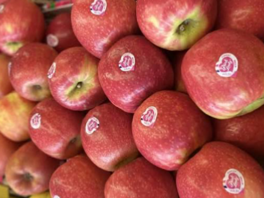 Pommes Pink Lady bio