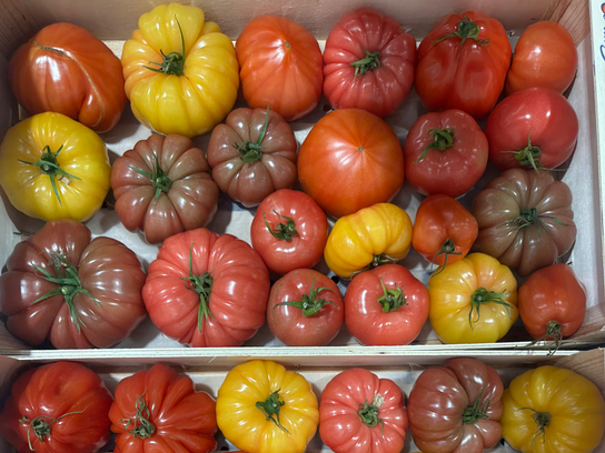 Tomates a l'ancienne