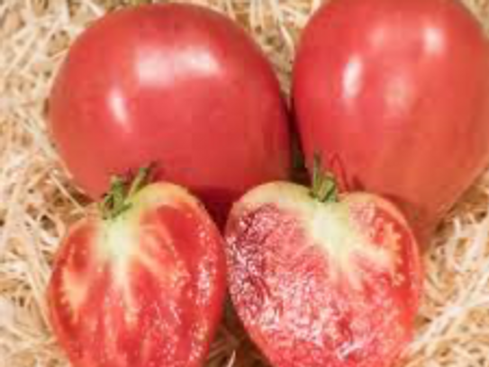 Tomates Téton de Vénus