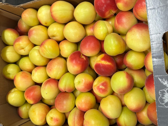 Abricots vanille