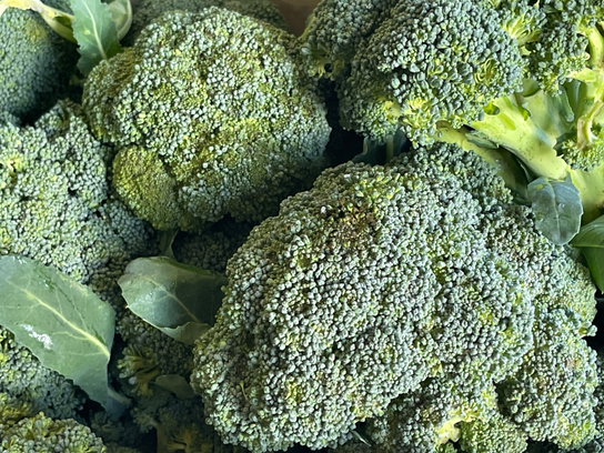 Brocoli