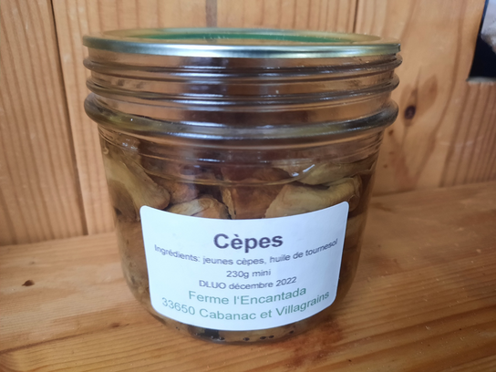 Cèpes de Bordeaux