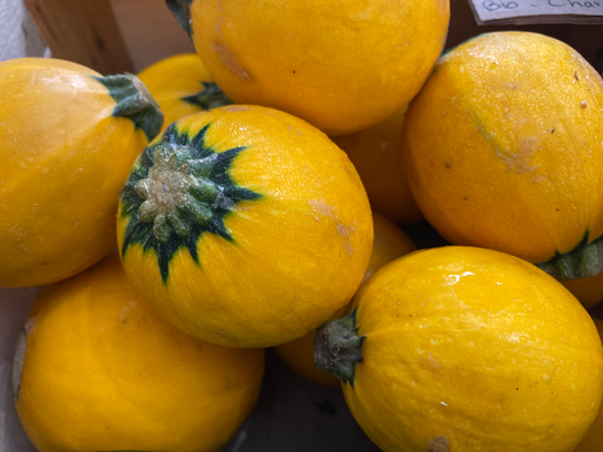 Courgette ronde verte