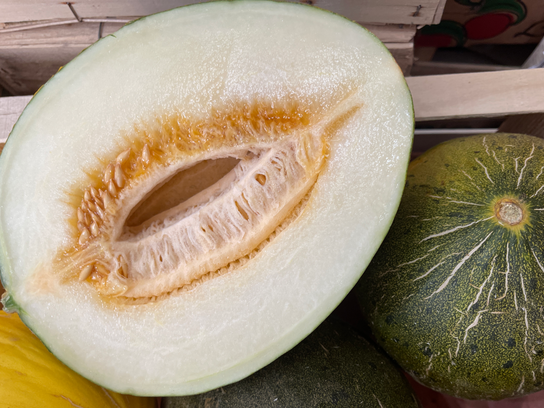 Melon vert Portugais